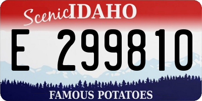 ID license plate E299810