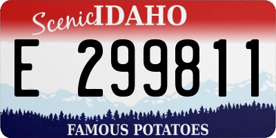 ID license plate E299811