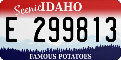 ID license plate E299813