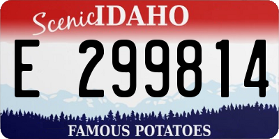 ID license plate E299814