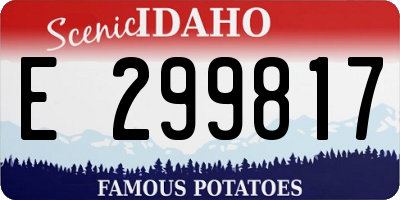 ID license plate E299817