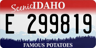 ID license plate E299819