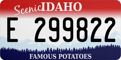 ID license plate E299822