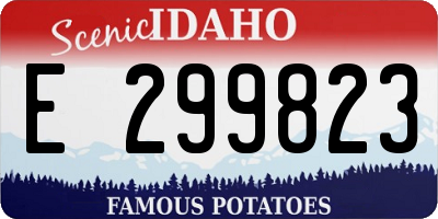 ID license plate E299823
