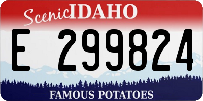 ID license plate E299824