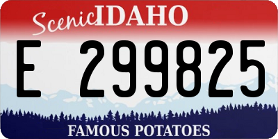 ID license plate E299825