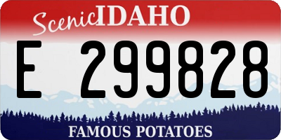 ID license plate E299828