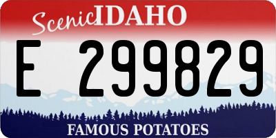 ID license plate E299829