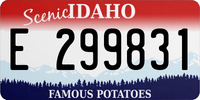 ID license plate E299831