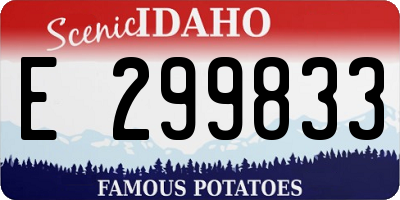 ID license plate E299833