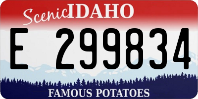 ID license plate E299834