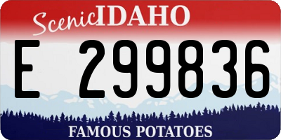 ID license plate E299836