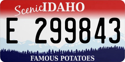 ID license plate E299843