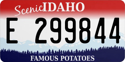 ID license plate E299844