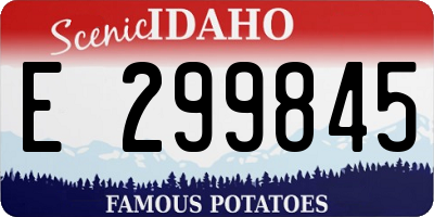 ID license plate E299845