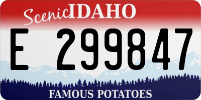 ID license plate E299847