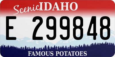 ID license plate E299848