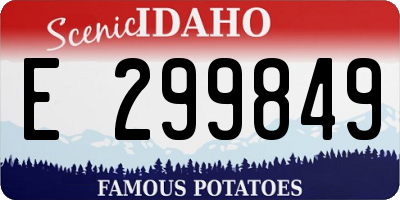 ID license plate E299849