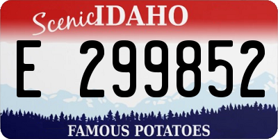 ID license plate E299852