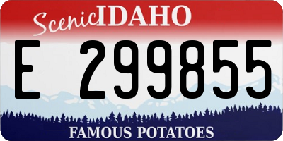ID license plate E299855