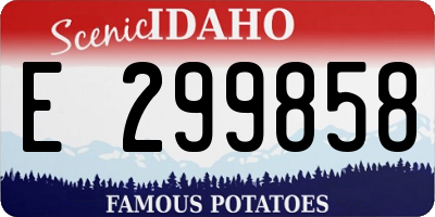 ID license plate E299858
