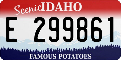 ID license plate E299861