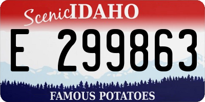 ID license plate E299863