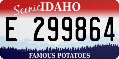ID license plate E299864