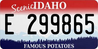 ID license plate E299865