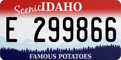 ID license plate E299866