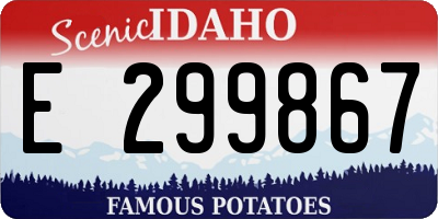 ID license plate E299867