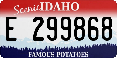 ID license plate E299868