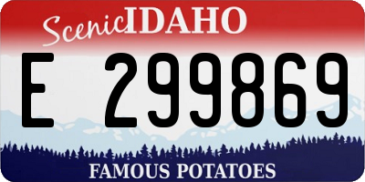 ID license plate E299869