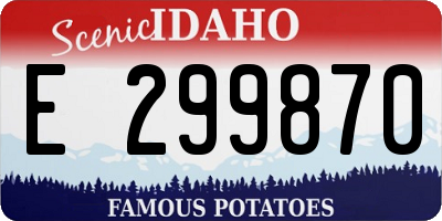 ID license plate E299870