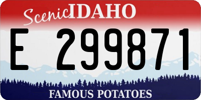 ID license plate E299871