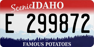 ID license plate E299872