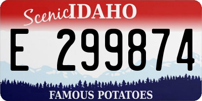 ID license plate E299874