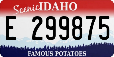 ID license plate E299875