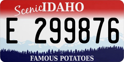 ID license plate E299876