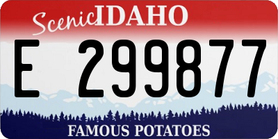 ID license plate E299877