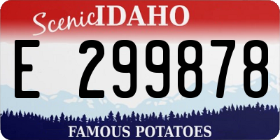ID license plate E299878