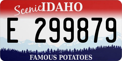 ID license plate E299879