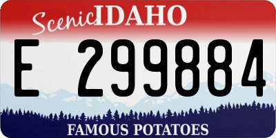 ID license plate E299884