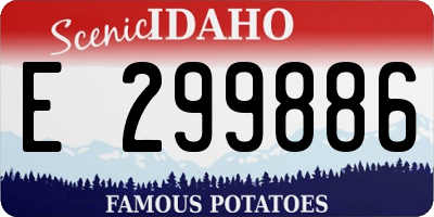 ID license plate E299886