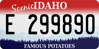 ID license plate E299890