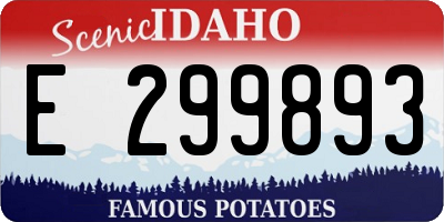 ID license plate E299893