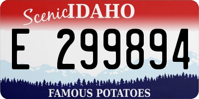 ID license plate E299894