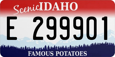 ID license plate E299901