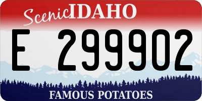 ID license plate E299902