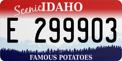 ID license plate E299903